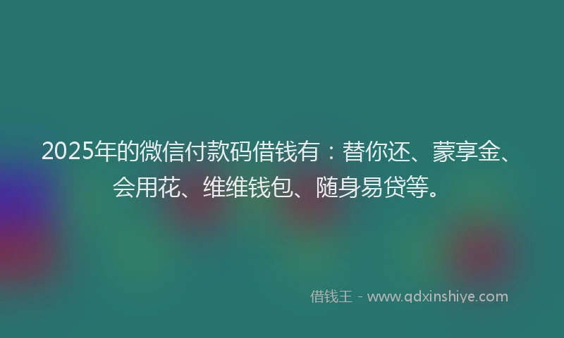 2025年的微信付款码借钱有：替你还、蒙享金、会用花、维维钱包、随身易贷等。