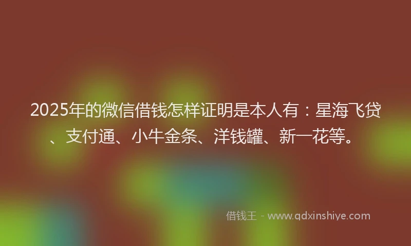 2025年的微信借钱怎样证明是本人有：星海飞贷、支付通、小牛金条、洋钱罐、新一花等。