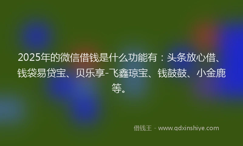 2025年的微信借钱是什么功能有：头条放心借、钱袋易贷宝、贝乐享-飞鑫琼宝、钱鼓鼓、小金鹿等。