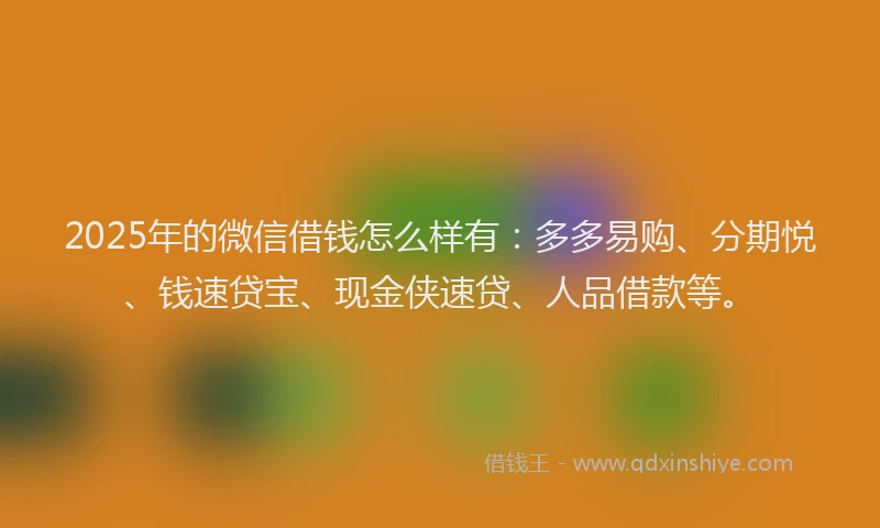 2025年的微信借钱怎么样有：多多易购、分期悦、钱速贷宝、现金侠速贷、人品借款等。