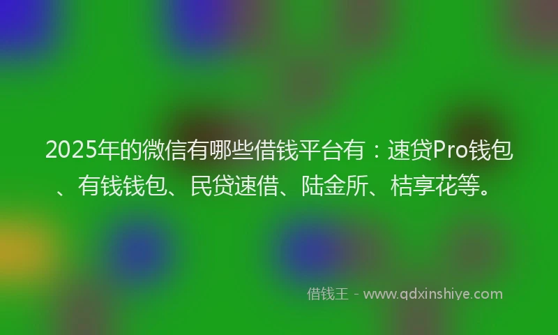 2025年的微信有哪些借钱平台有:速贷Pro钱包、有钱钱包、民贷速借、陆金所、桔享花等。