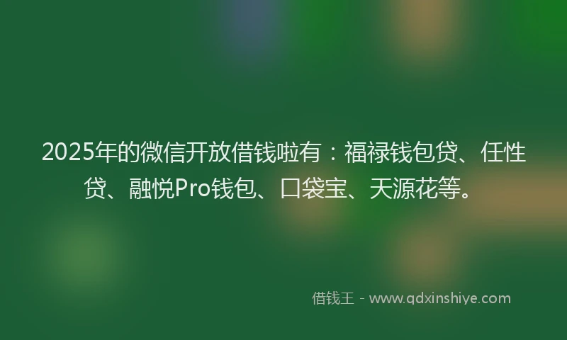 2025年的微信开放借钱啦有：福禄钱包贷、任性贷、融悦Pro钱包、口袋宝、天源花等。