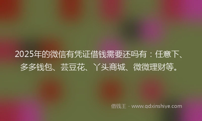 2025年的微信有凭证借钱需要还吗有：任意下、多多钱包、芸豆花、丫头商城、微微理财等。