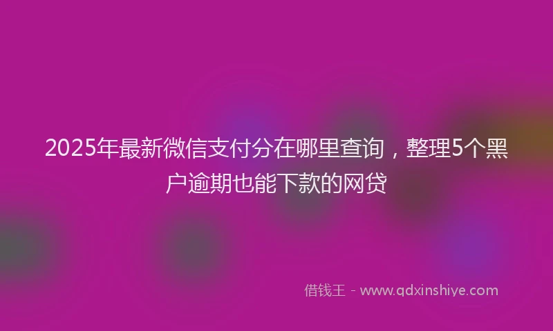 2025年最新微信支付分在哪里查询，整理5个黑户逾期也能下款的网贷