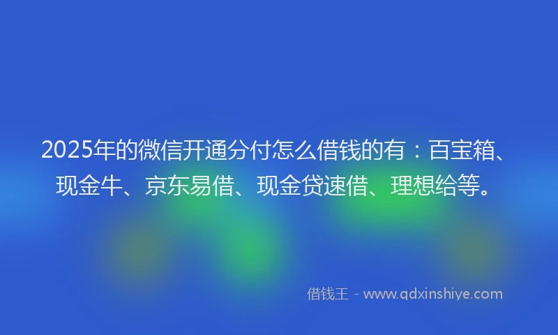 2025年的微信开通分付怎么借钱的有：百宝箱、现金牛、京东易借、现金贷速借、理想给等。