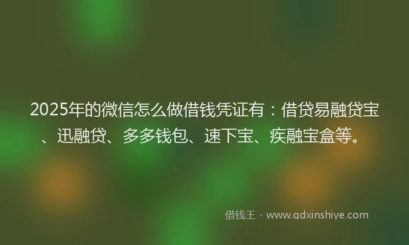 2025年的微信怎么做借钱凭证有：借贷易融贷宝、迅融贷、多多钱包、速下宝、疾融宝盒等。