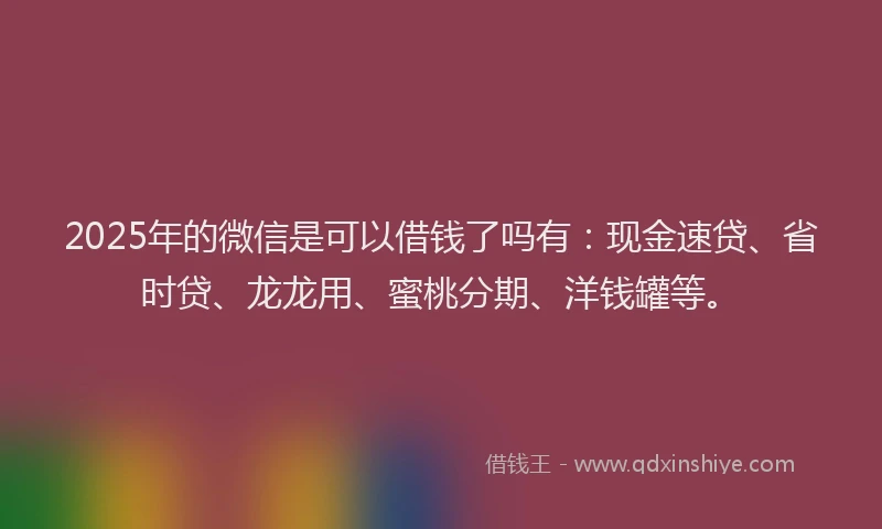 2025年的微信是可以借钱了吗有：现金速贷、省时贷、龙龙用、蜜桃分期、洋钱罐等。