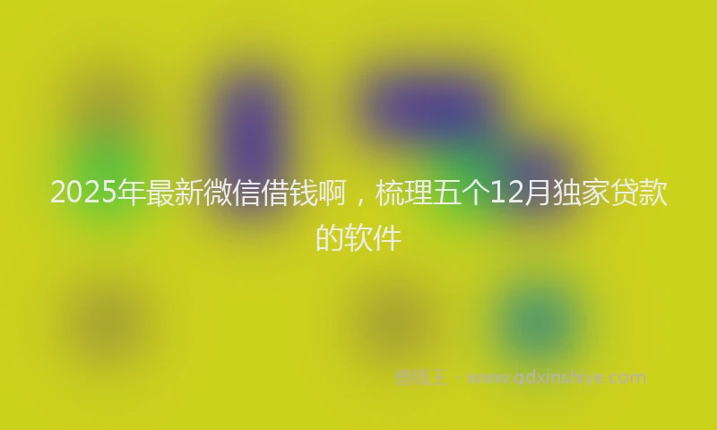 2025年最新微信借钱啊，梳理五个12月独家贷款的软件