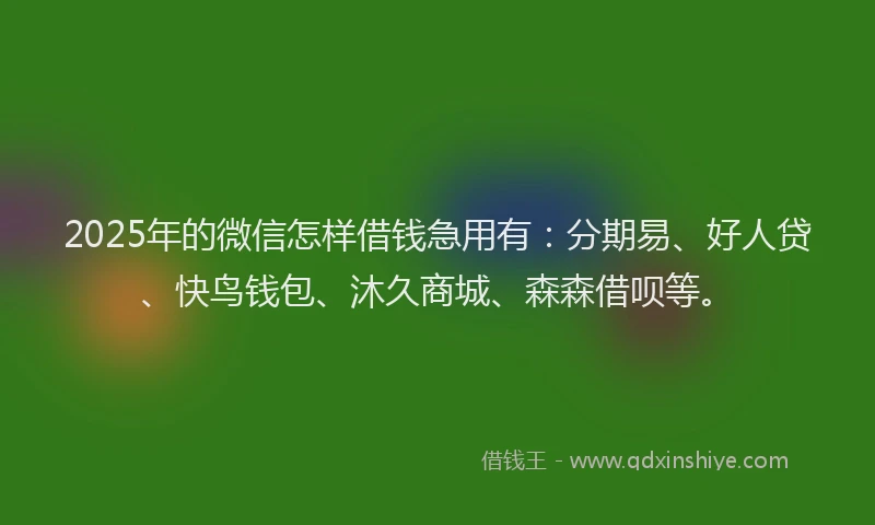2025年的微信怎样借钱急用有：分期易、好人贷、快鸟钱包、沐久商城、森森借呗等。