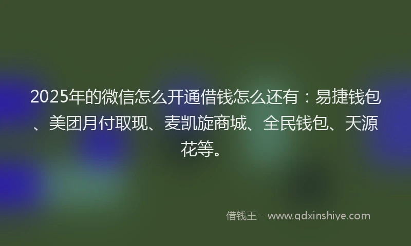 2025年的微信怎么开通借钱怎么还有：易捷钱包、美团月付取现、麦凯旋商城、全民钱包、天源花等。