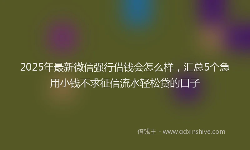 2025年最新微信强行借钱会怎么样，汇总5个急用小钱不求征信流水轻松贷的口子