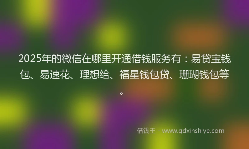 2025年的微信在哪里开通借钱服务有：易贷宝钱包、易速花、理想给、福星钱包贷、珊瑚钱包等。