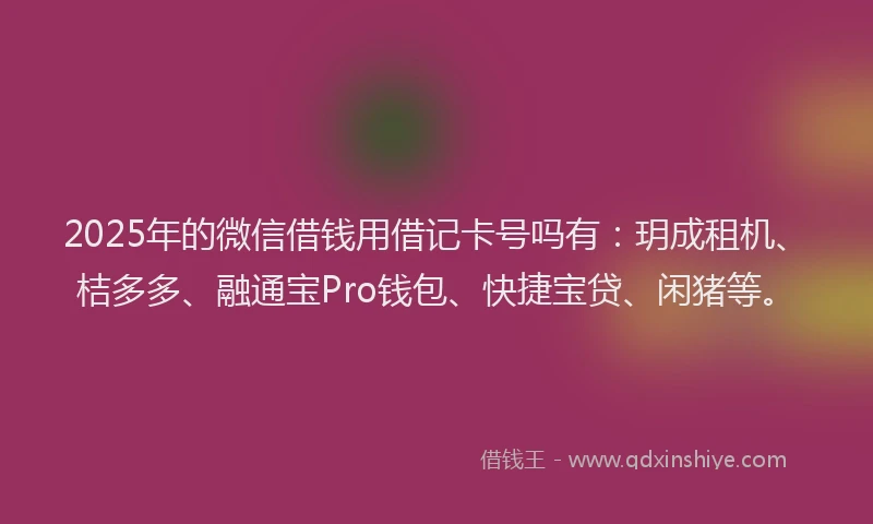 2025年的微信借钱用借记卡号吗有：玥成租机、桔多多、融通宝Pro钱包、快捷宝贷、闲猪等。