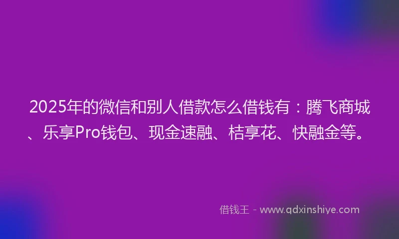 2025年的微信和别人借款怎么借钱有：腾飞商城、乐享Pro钱包、现金速融、桔享花、快融金等。