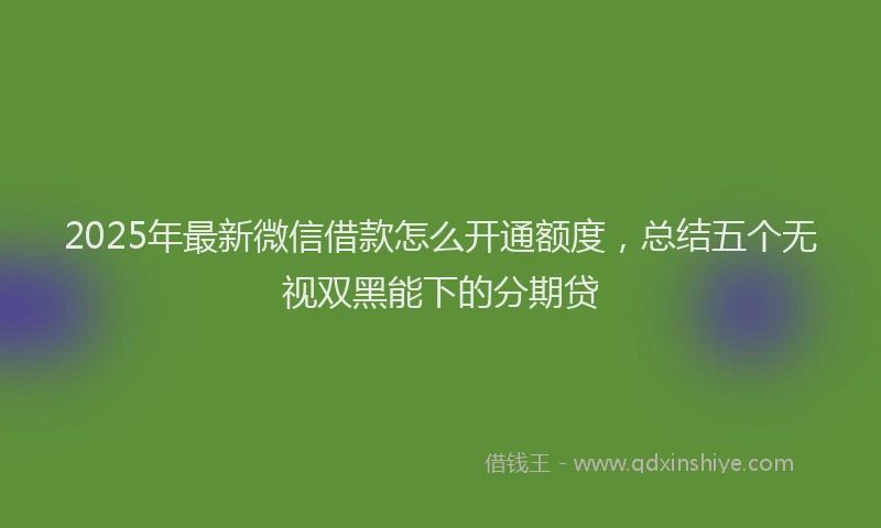 2025年最新微信借款怎么开通额度，总结五个无视双黑能下的分期贷