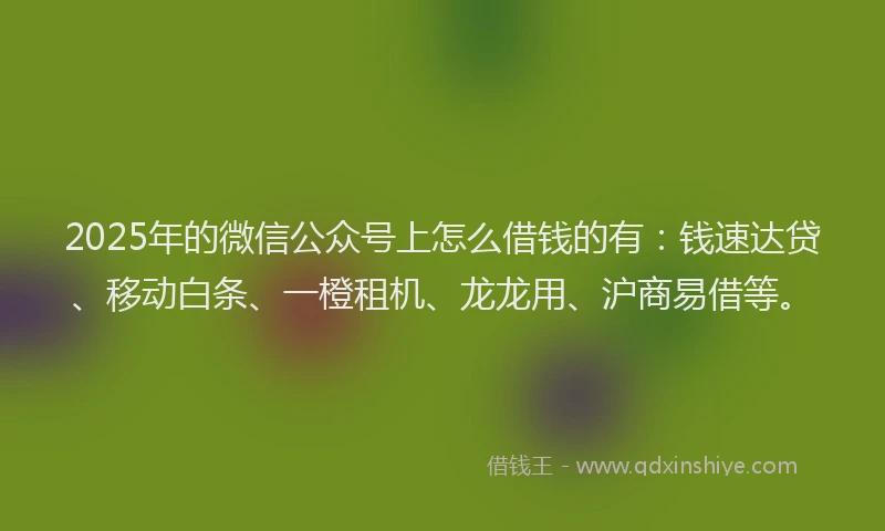 2025年的微信公众号上怎么借钱的有：钱速达贷、移动白条、一橙租机、龙龙用、沪商易借等。