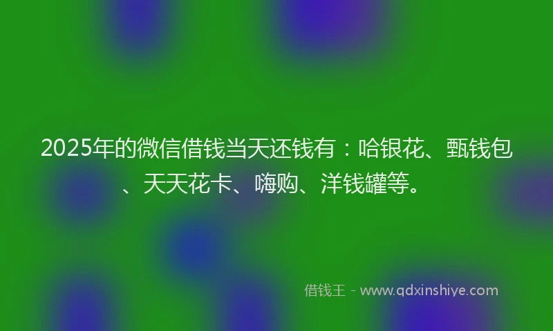 2025年的微信借钱当天还钱有：哈银花、甄钱包、天天花卡、嗨购、洋钱罐等。