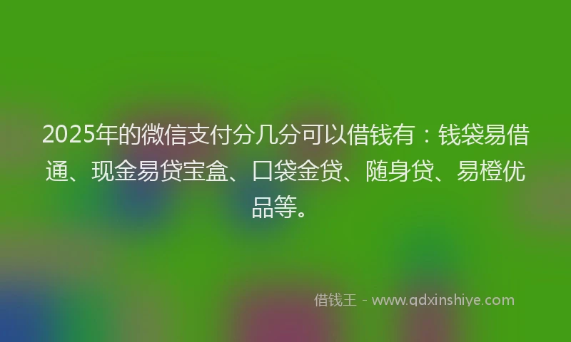2025年的微信支付分几分可以借钱有：钱袋易借通、现金易贷宝盒、口袋金贷、随身贷、易橙优品等。