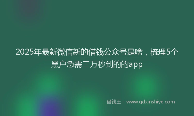 2025年最新微信新的借钱公众号是啥，梳理5个黑户急需三万秒到的的app