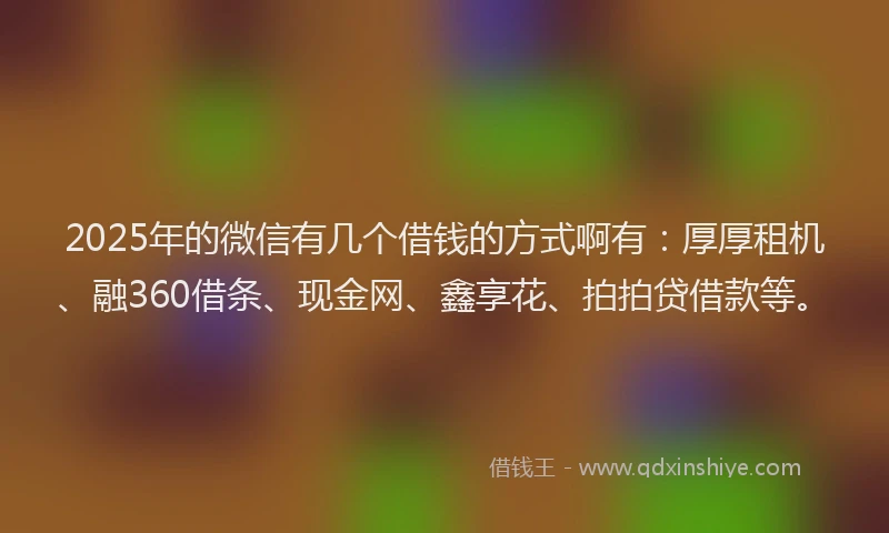 2025年的微信有几个借钱的方式啊有：厚厚租机、融360借条、现金网、鑫享花、拍拍贷借款等。