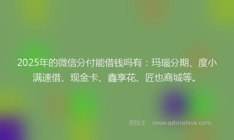 2025年的微信分付能借钱吗有：玛瑙分期、度小满速借、现金卡、鑫享花、匠也商城等。