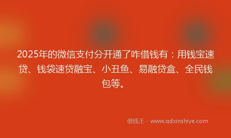 2025年的微信支付分开通了咋借钱有：用钱宝速贷、钱袋速贷融宝、小丑鱼、易融贷盒、全民钱包等。