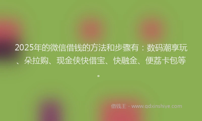 2025年的微信借钱的方法和步骤有：数码潮享玩、朵拉购、现金侠快借宝、快融金、便荔卡包等。
