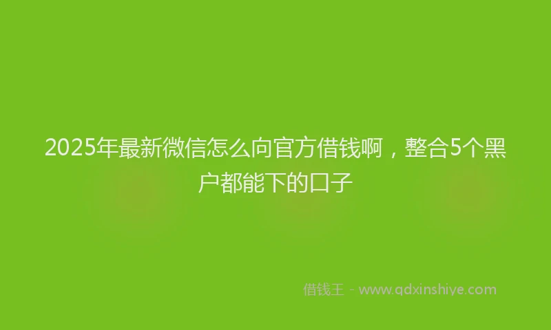 2025年最新微信怎么向官方借钱啊，整合5个黑户都能下的口子