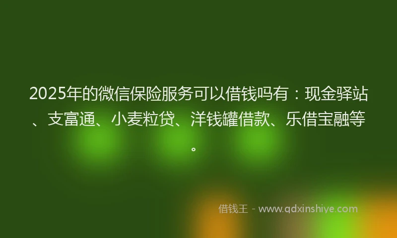 2025年的微信保险服务可以借钱吗有：现金驿站、支富通、小麦粒贷、洋钱罐借款、乐借宝融等。