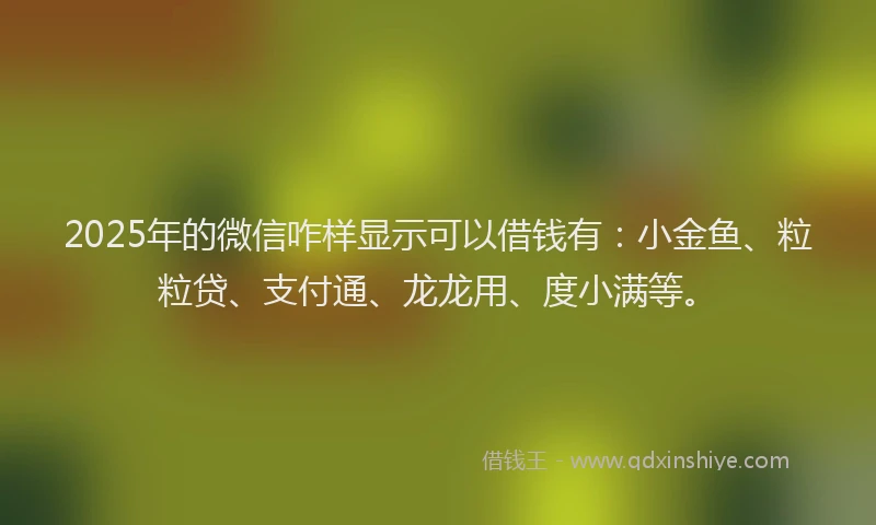 2025年的微信咋样显示可以借钱有：小金鱼、粒粒贷、支付通、龙龙用、度小满等。