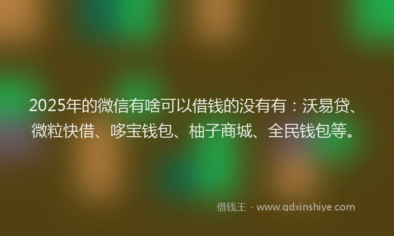 2025年的微信有啥可以借钱的没有有：沃易贷、微粒快借、哆宝钱包、柚子商城、全民钱包等。