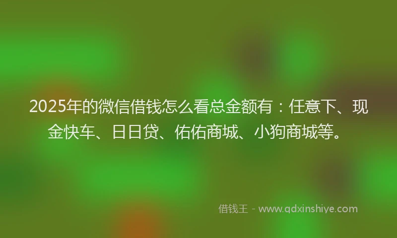 2025年的微信借钱怎么看总金额有：任意下、现金快车、日日贷、佑佑商城、小狗商城等。