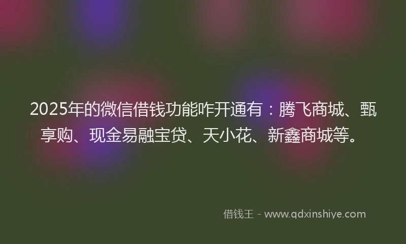 2025年的微信借钱功能咋开通有：腾飞商城、甄享购、现金易融宝贷、天小花、新鑫商城等。