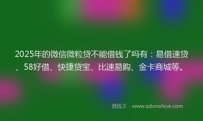2025年的微信微粒贷不能借钱了吗有：易借速贷、58好借、快捷贷宝、比速易购、金卡商城等。