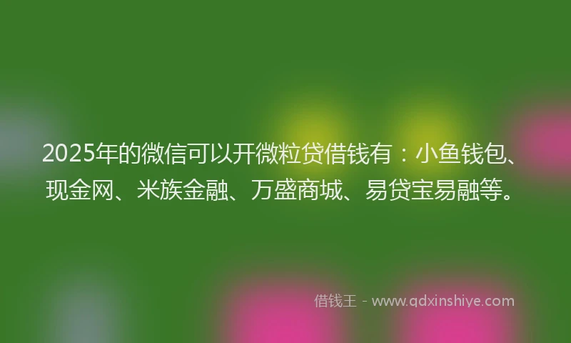 2025年的微信可以开微粒贷借钱有：小鱼钱包、现金网、米族金融、万盛商城、易贷宝易融等。
