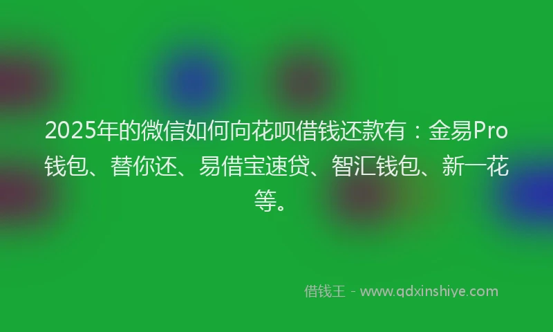 2025年的微信如何向花呗借钱还款有：金易Pro钱包、替你还、易借宝速贷、智汇钱包、新一花等。