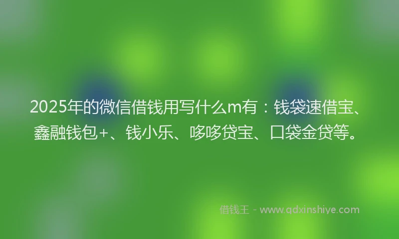 2025年的微信借钱用写什么m有：钱袋速借宝、鑫融钱包+、钱小乐、哆哆贷宝、口袋金贷等。