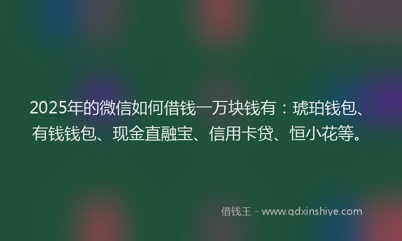 2025年的微信如何借钱一万块钱有：琥珀钱包、有钱钱包、现金直融宝、信用卡贷、恒小花等。