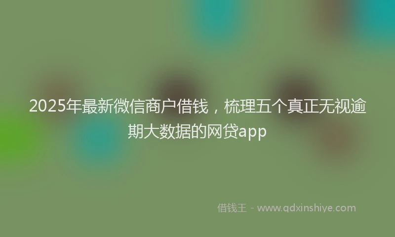 2025年最新微信商户借钱，梳理五个真正无视逾期大数据的网贷app