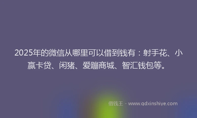2025年的微信从哪里可以借到钱有：射手花、小赢卡贷、闲猪、爱蹦商城、智汇钱包等。