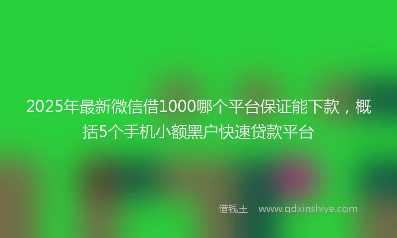 2025年最新微信借1000哪个平台保证能下款，概括5个手机小额黑户快速贷款平台