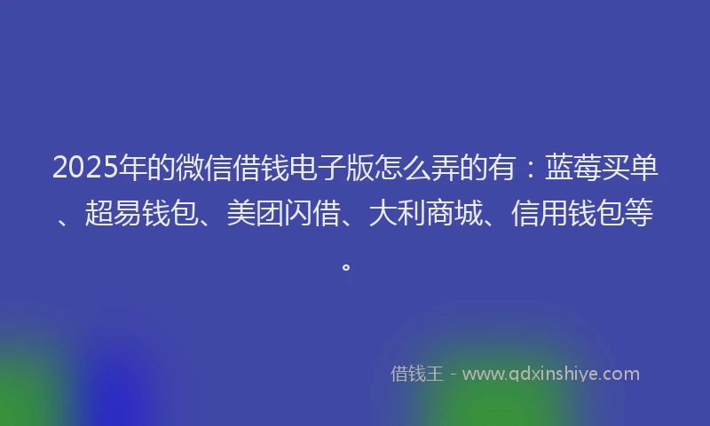2025年的微信借钱电子版怎么弄的有：蓝莓买单、超易钱包、美团闪借、大利商城、信用钱包等。