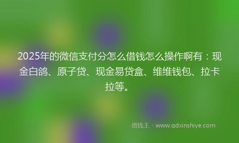 2025年的微信支付分怎么借钱怎么操作啊有：现金白鸽、原子贷、现金易贷盒、维维钱包、拉卡拉等。