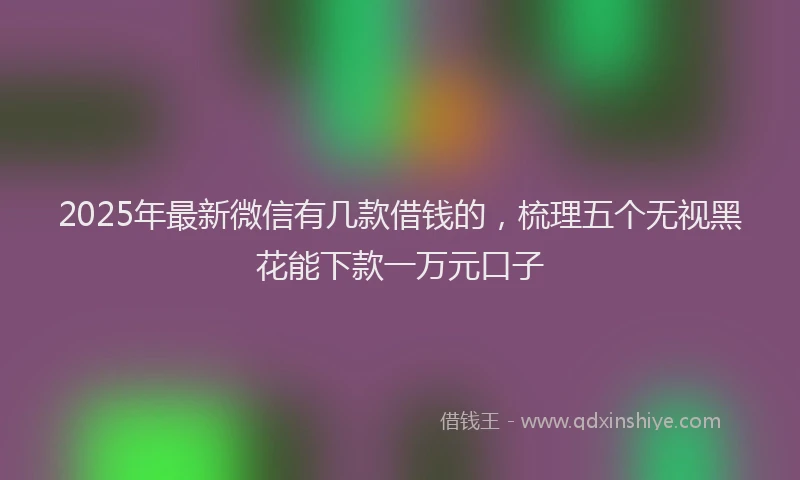 2025年最新微信有几款借钱的，梳理五个无视黑花能下款一万元口子