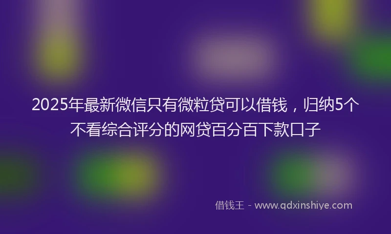 2025年最新微信只有微粒贷可以借钱，归纳5个不看综合评分的网贷百分百下款口子