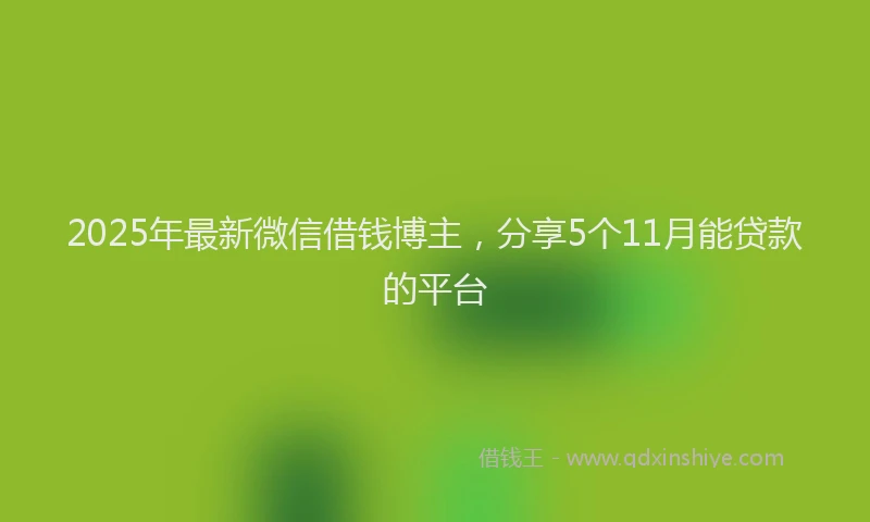 2025年最新微信借钱博主，分享5个11月能贷款的平台