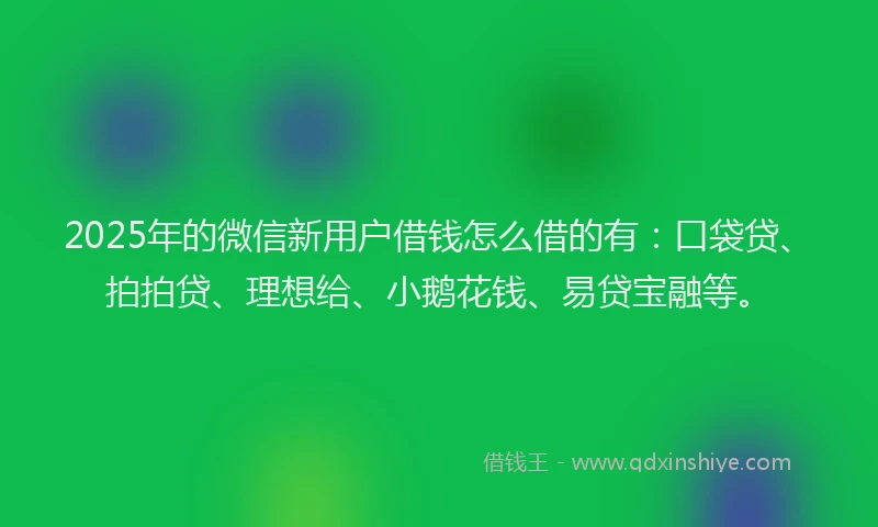 2025年的微信新用户借钱怎么借的有：口袋贷、拍拍贷、理想给、小鹅花钱、易贷宝融等。