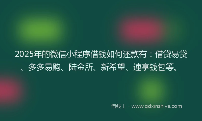 2025年的微信小程序借钱如何还款有：借贷易贷、多多易购、陆金所、新希望、速享钱包等。