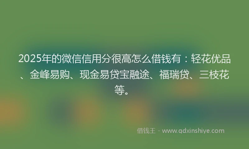2025年的微信信用分很高怎么借钱有：轻花优品、金峰易购、现金易贷宝融途、福瑞贷、三枝花等。