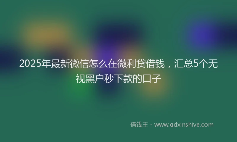 2025年最新微信怎么在微利贷借钱，汇总5个无视黑户秒下款的口子